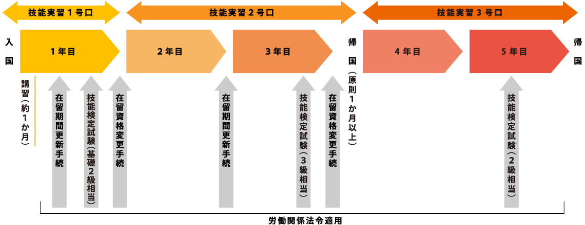 技能実習1号口入国 1年目 講習（約1ヶ月）在留期間更新手続 技能検定試験 在留資格変更手続 技能実習2号口 2年目 3年目 在留期間更新手続 帰国 労働関係法令適用